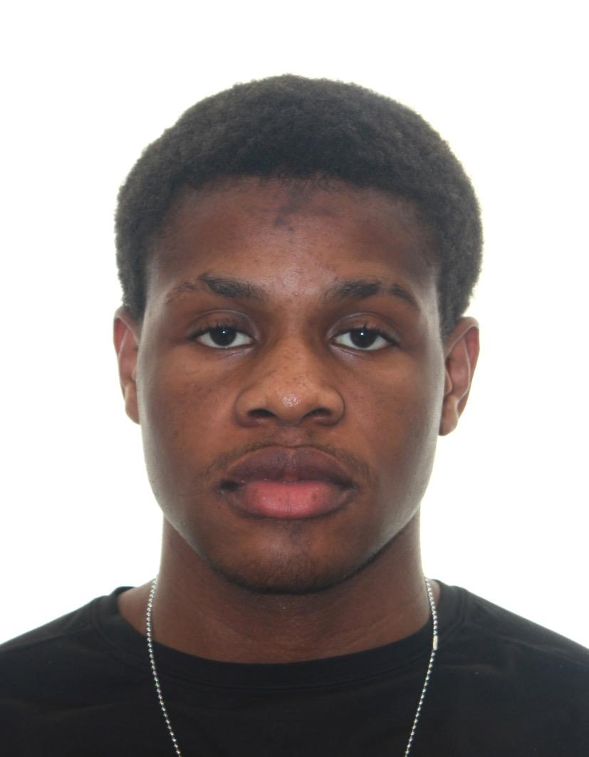 Oluwaseyi Omotayo Braimoh